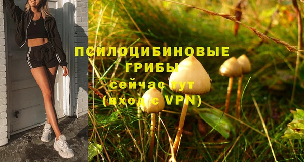 первитин Верея