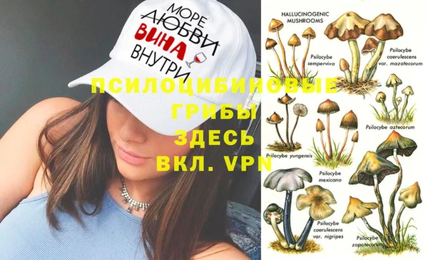 первитин Верея
