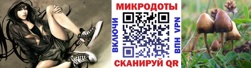 Купить где  Юрюзань  Псилоцибиновые грибы GOLDEN TEACHER 